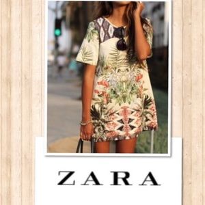 Zara Bird Dress - Stunner!